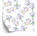 Tapeta Do Salonu Orchidea Storczyk Kwiaty Natura