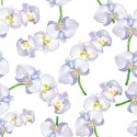 Tapeta Do Salonu Orchidea Storczyk Kwiaty Natura