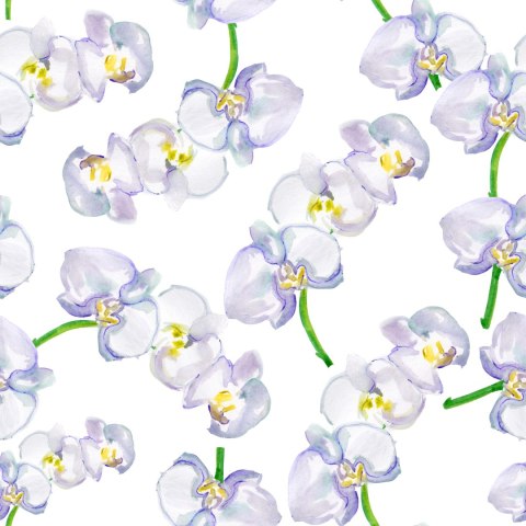 Tapeta Do Salonu Orchidea Storczyk Kwiaty Natura