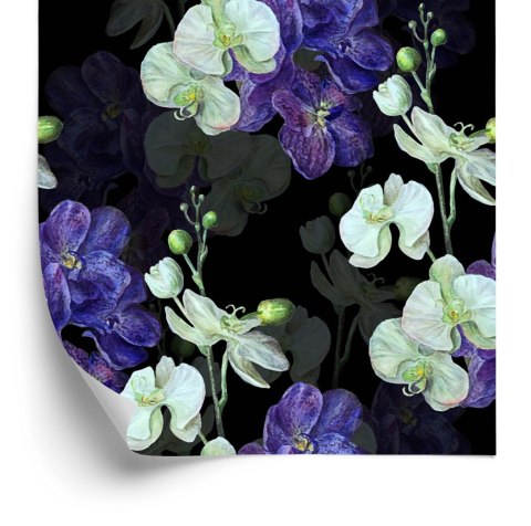 Tapeta Do Salonu Orchidea Storczyk Przyroda Kwiaty