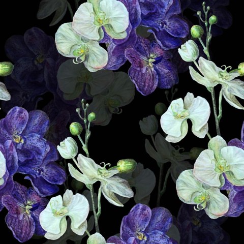 Tapeta Do Salonu Orchidea Storczyk Przyroda Kwiaty