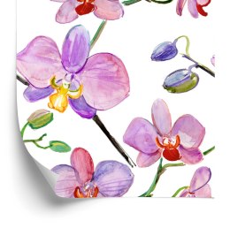 Tapeta Do Salonu Orchidee Storczyki Kwiaty Rośliny