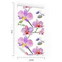 Tapeta Do Salonu Orchidee Storczyki Kwiaty Rośliny