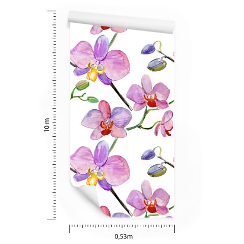 Tapeta Do Salonu Orchidee Storczyki Kwiaty Rośliny