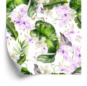 Tapeta Do Salonu Rośliny Natura Storczyki Kwiaty