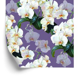 Tapeta Do Salonu Storczyki Kwiaty Natura Rośliny