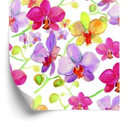 Tapeta Do Salonu Storczyki Kwiaty Przyroda Natura