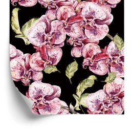 Tapeta Do Sypialni Orchidea Storczyk Natura Kwiaty