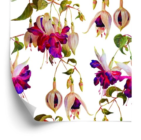 Tapeta Kwiaty Fuksja Natura Przyroda Do Salonu