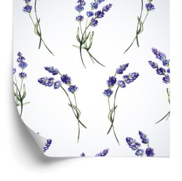 Tapeta Kwiaty Lawendy