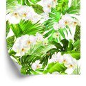 Tapeta Kwiaty Storczyki Natura Zieleń Do Salonu