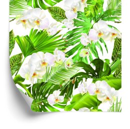 Tapeta Kwiaty Storczyki Natura Zieleń Do Salonu