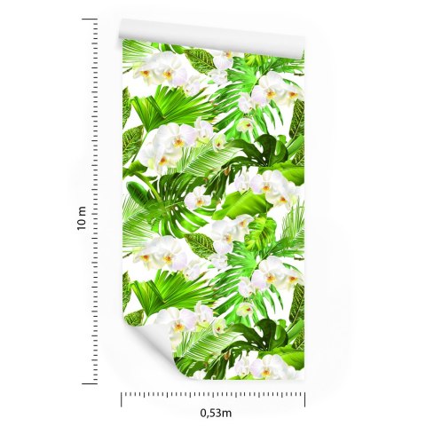 Tapeta Kwiaty Storczyki Natura Zieleń Do Salonu