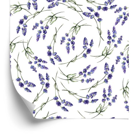 Tapeta Lawenda W Nowoczesnym Stylu