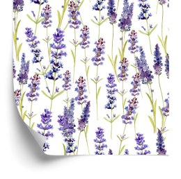 Tapeta Lawenda