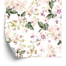 Tapeta Orchidea Storczyk Kwiaty Natura Do Salonu