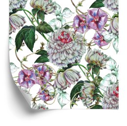 Tapeta Piękne Piwonie