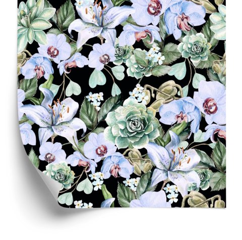 Tapeta Rośliny Natura Orchidee Storczyki Do Salonu