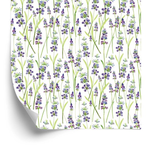 Tapeta Zieleń Lawendy Rośliny