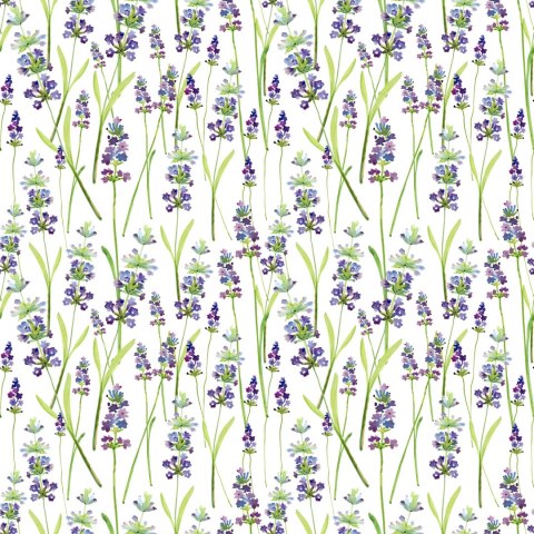 Tapeta Zieleń Lawendy Rośliny