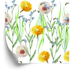 Tapeta Dmuchawce I Kwiaty Polne