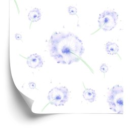 Tapeta Fioletowe Dmuchawce