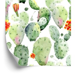Tapeta Kaktusy Z Plamami I Kwiatami