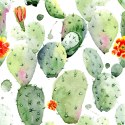 Tapeta Kaktusy Z Plamami I Kwiatami