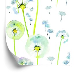 Tapeta Kolorowe Dmuchawce Malowane Akwarelą