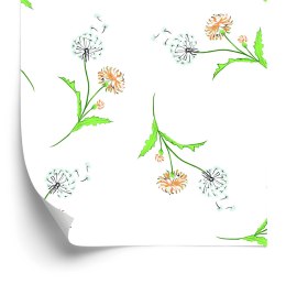 Tapeta Kolorowe Dmuchawce