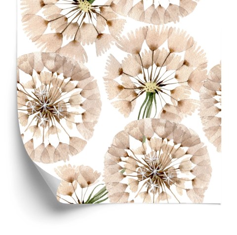 Tapeta Malowany Dmuchawiec Z Bliska