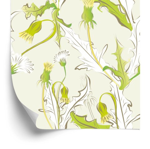 Tapeta Młode Kwiaty Mlecza