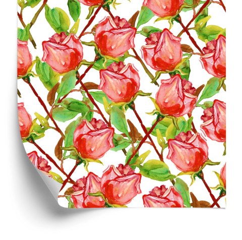 Tapeta Róże Z Łodygami