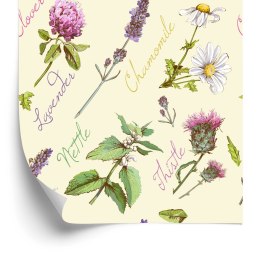 Tapeta Stokrotki Z Lawendą