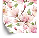 Tapeta Wiosenne Kwiaty Magnolii
