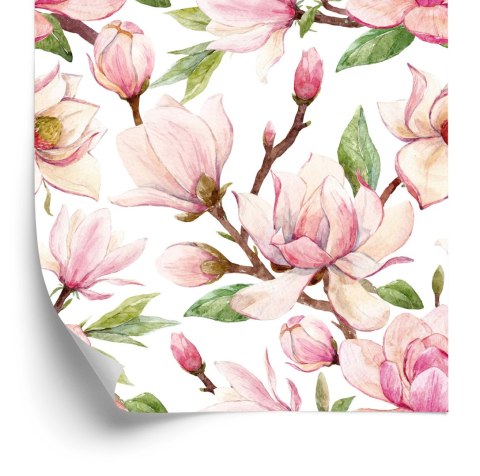 Tapeta Wiosenne Kwiaty Magnolii