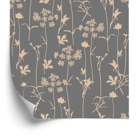 Tapeta Zioła Lekarskie