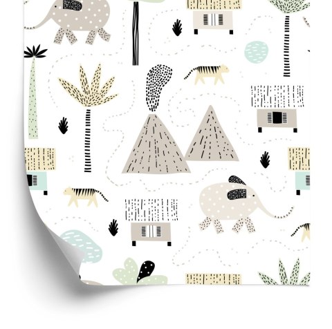 Tapeta Dla Chłopca, Zwierzęta Palmy Wulkan