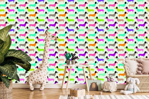 Tapeta Kolorowe Pieski, Jamniki, Pokój Dziewczynki