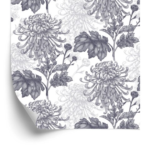 Tapeta Czarno-Białe Chryzantemy