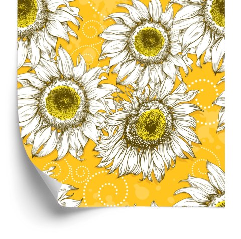 Tapeta Słoneczniki