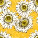 Tapeta Słoneczniki