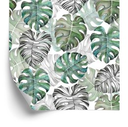 Tapeta Liście Monstera
