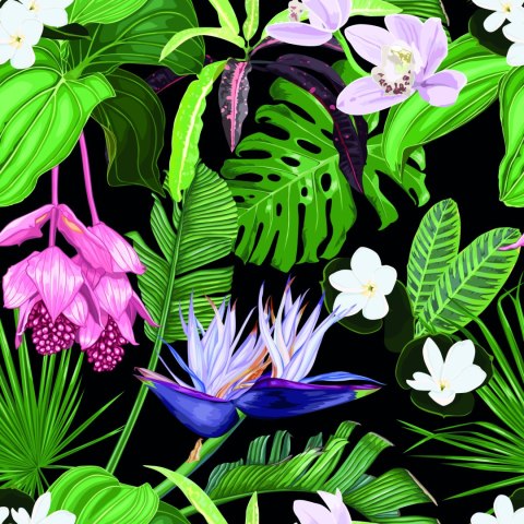 Tapeta Egzotyczne Liście Palmy