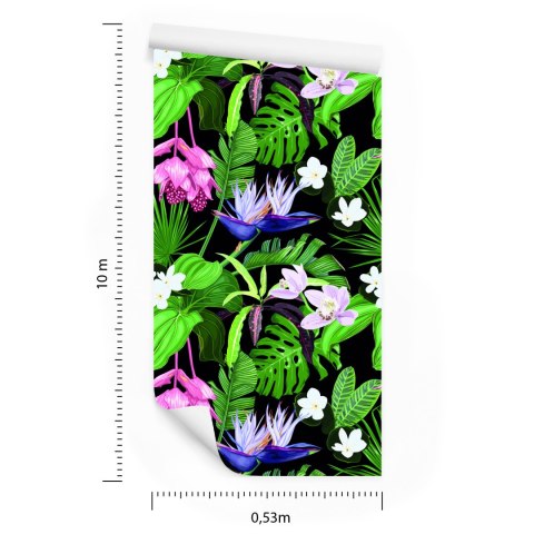 Tapeta Egzotyczne Liście Palmy