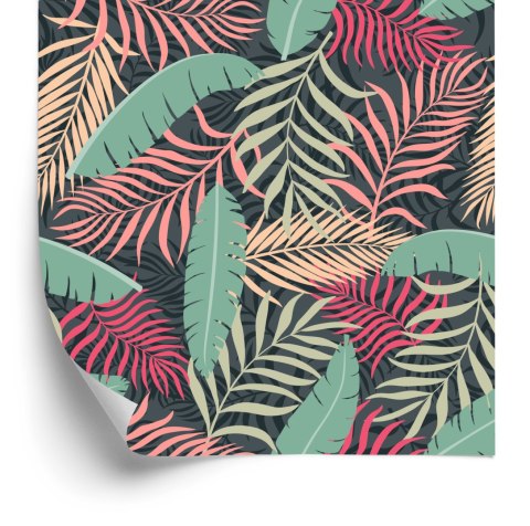 Tapeta Kolorowe Liście Egzotyczne