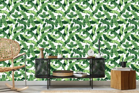 Tapeta Liście Bananowca