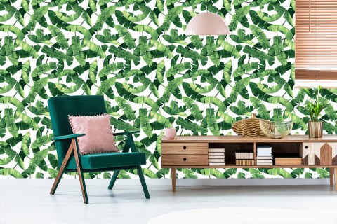 Tapeta Liście Bananowca