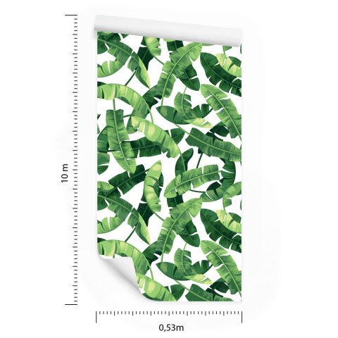 Tapeta Liście Bananowca