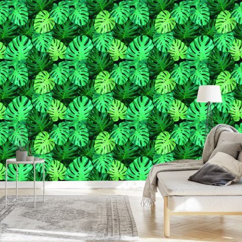 Tapeta Liście Monstery